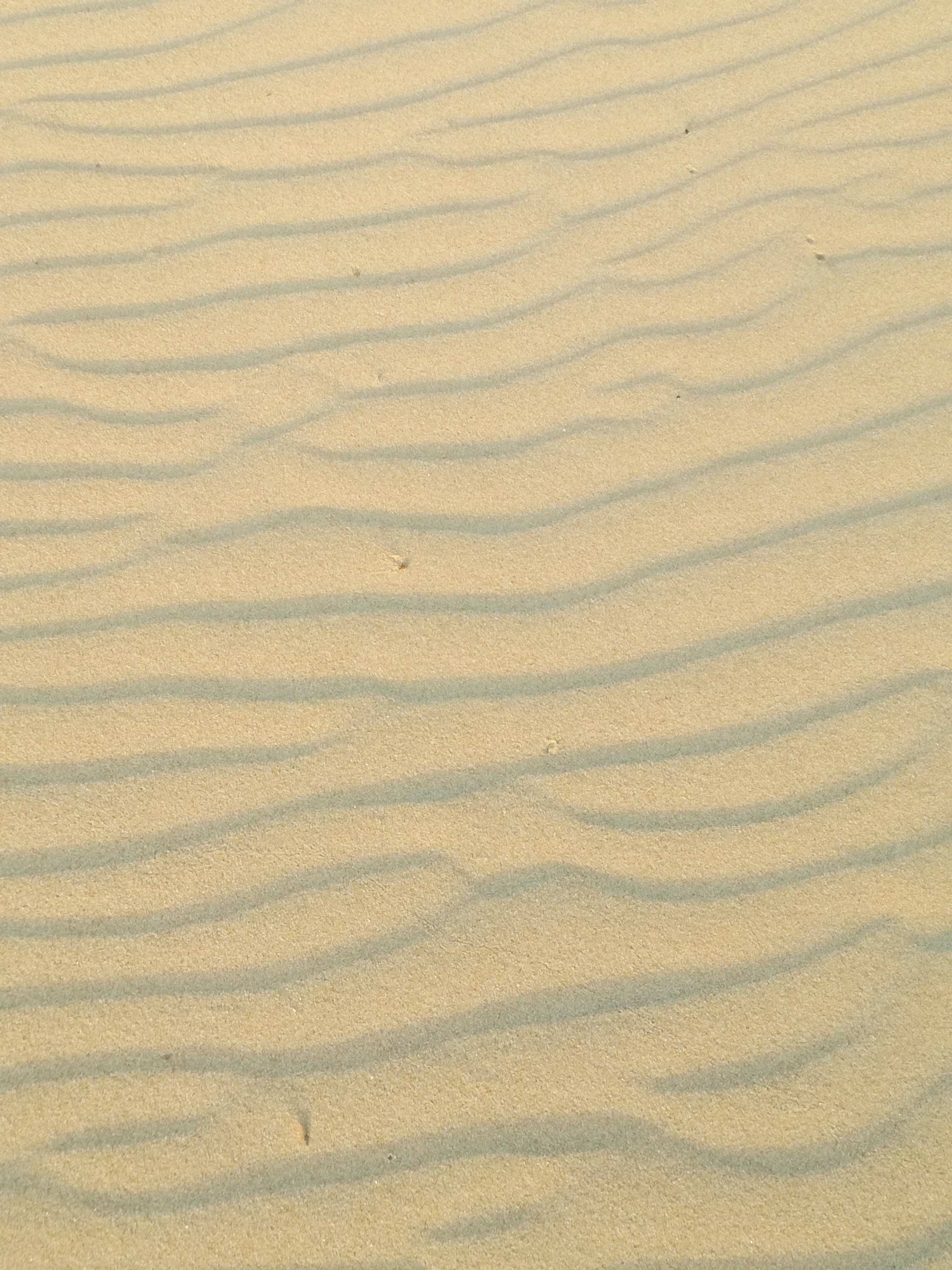 Sand Texture. Gold sand. Background from fine sand. Sand background